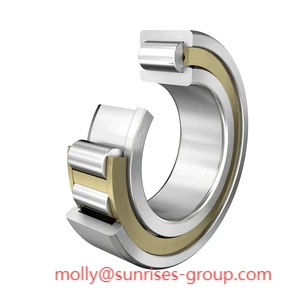 Available NJ1896-M1 Single-Row Cylindrical Roller Bearing